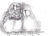 Feathered Friends